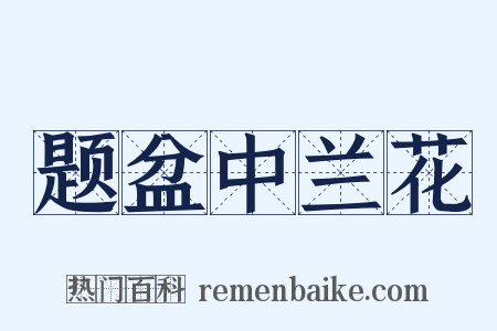 题盆中兰花是什么意思的图片